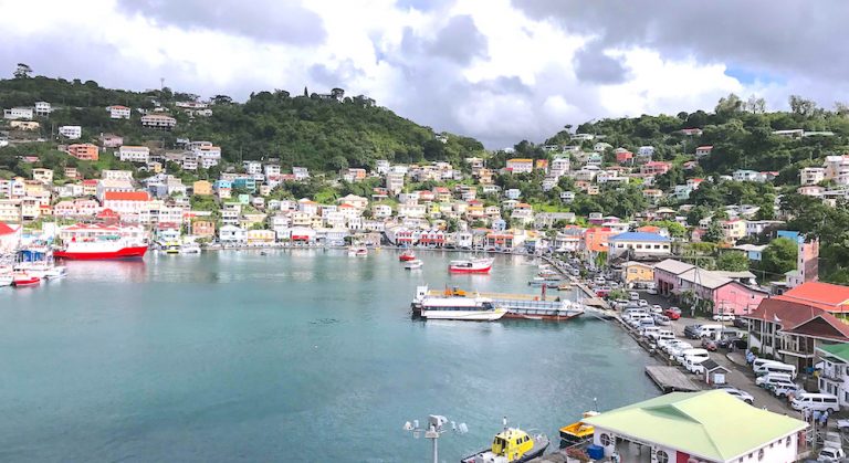 Delays in processing Grenada CIP applications