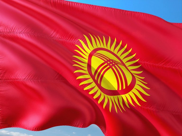 Kyrgyzstan mulls citizenship for investments